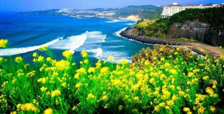 Đảo Jeju chính là thiên đường của Hàn Quốc