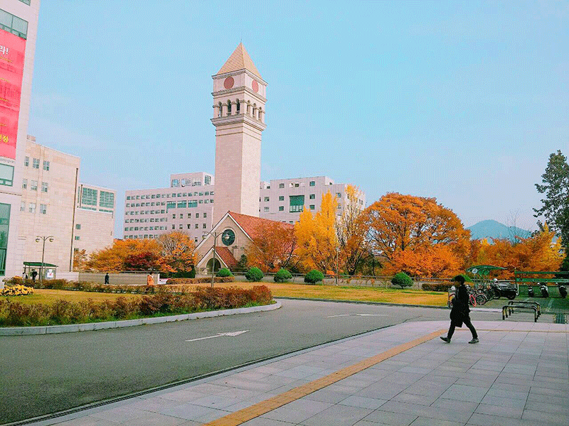 Trường Đại học Sejong