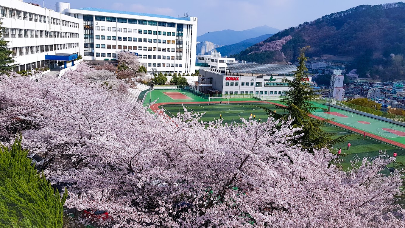 Hình ảnh trường Đại học Khoa học Kỹ thuật Busan 